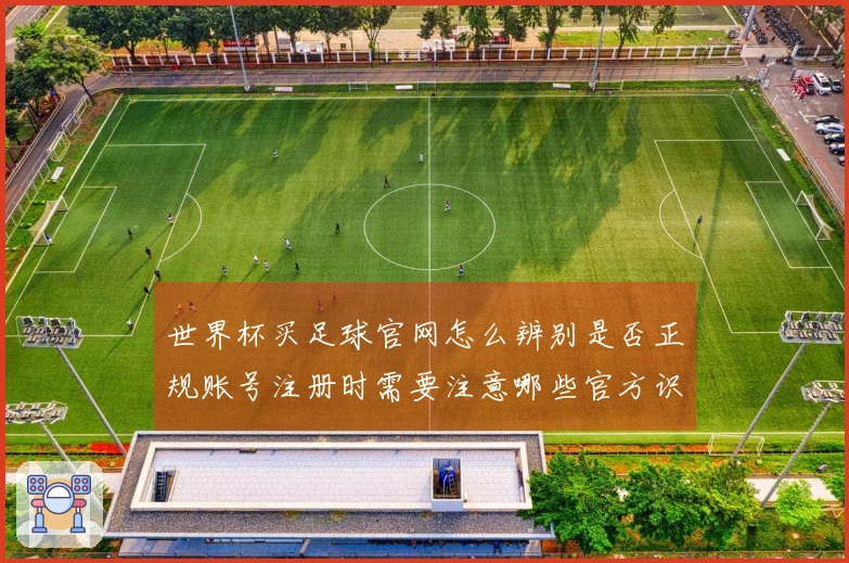 世界杯买足球官网怎么辨别是否正规账号注册时需要注意哪些官方识别标识