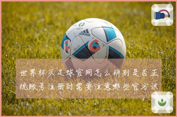 世界杯买足球官网怎么辨别是否正规账号注册时需要注意哪些官方识别标识